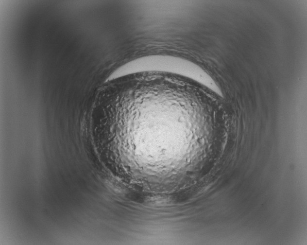 X0000070190511200606091536