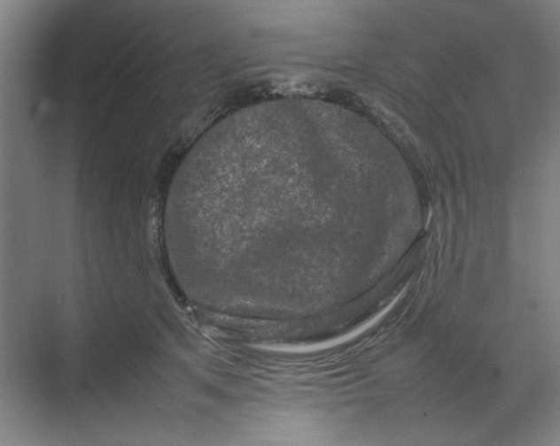 X0000070190513200606091536