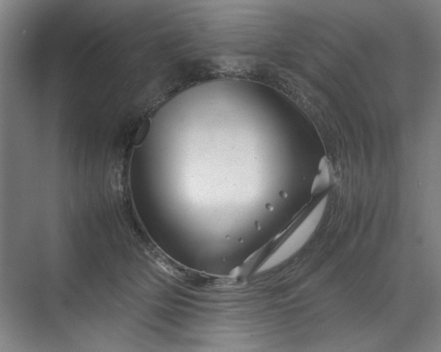 X0000070190514200606091536