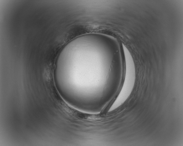 X0000070190515200606091536