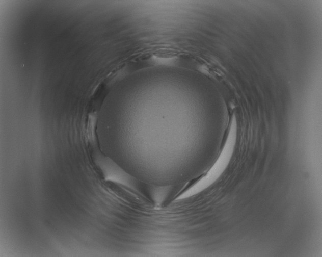 X0000070190516200606091536