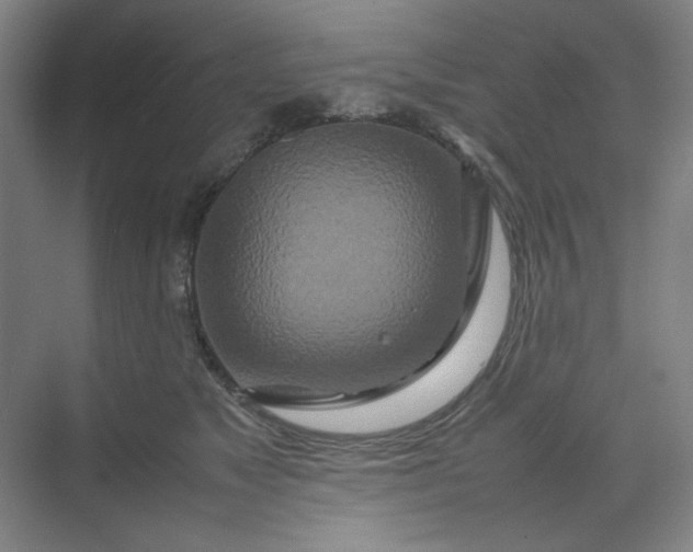 X0000070190517200606091536