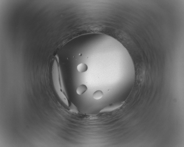 X0000070190518200606091536