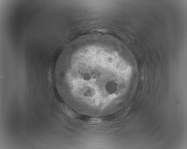 X0000070190519200606091536