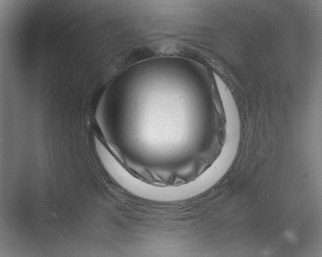 X0000070190521200606091536