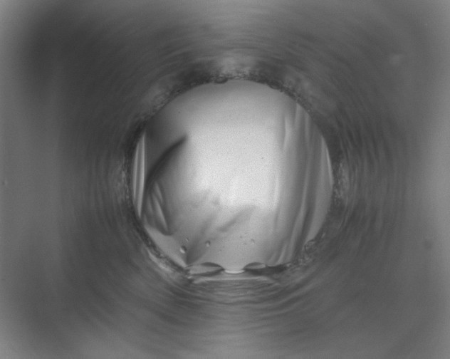 X0000070190522200606091536