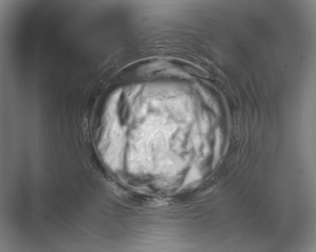 X0000070190523200606091536