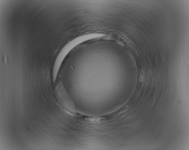 X0000070190524200606091536