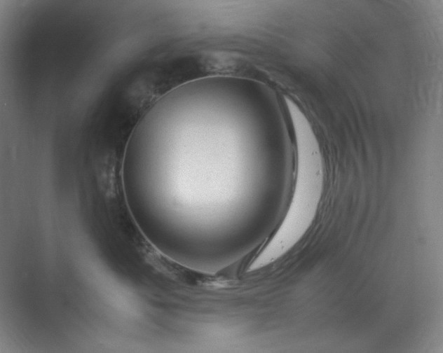 X0000070190525200606091536