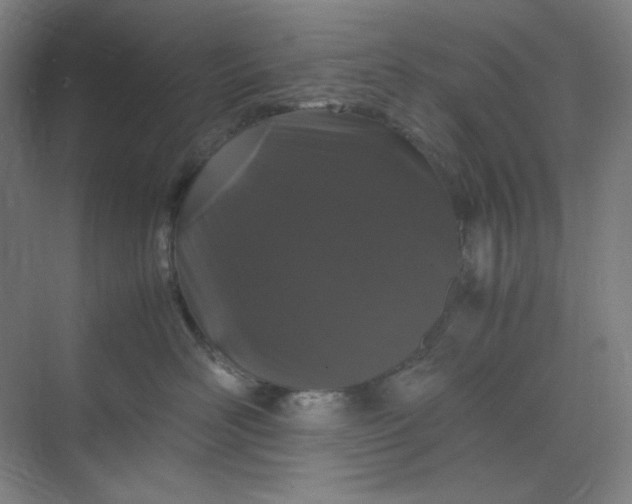 X0000070190526200606091536