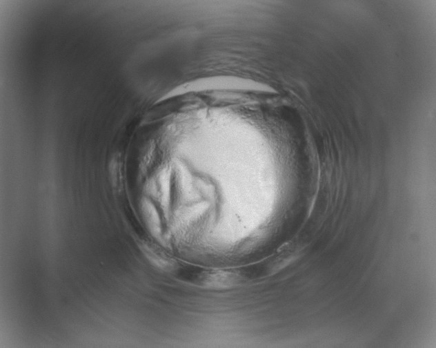 X0000070190527200606091536