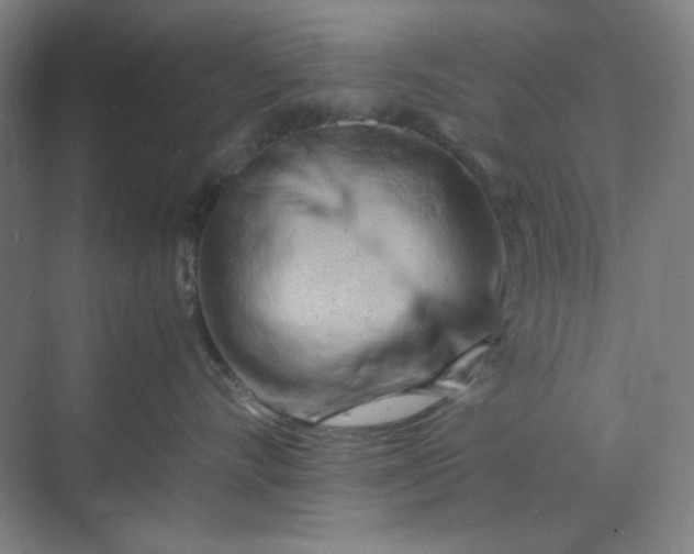 X0000070190528200606091536