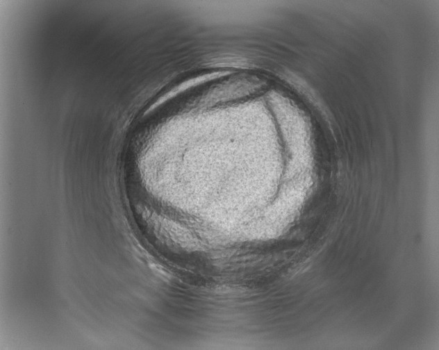 X0000070190529200606091535