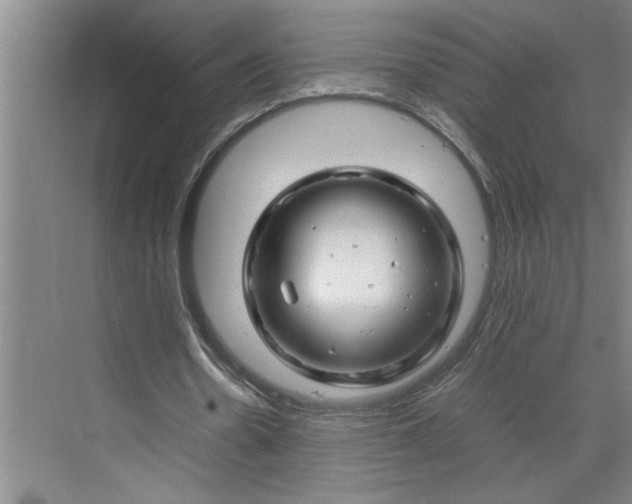 X0000070190530200606091535