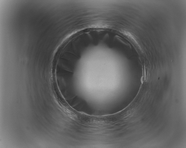 X0000070190531200606091535