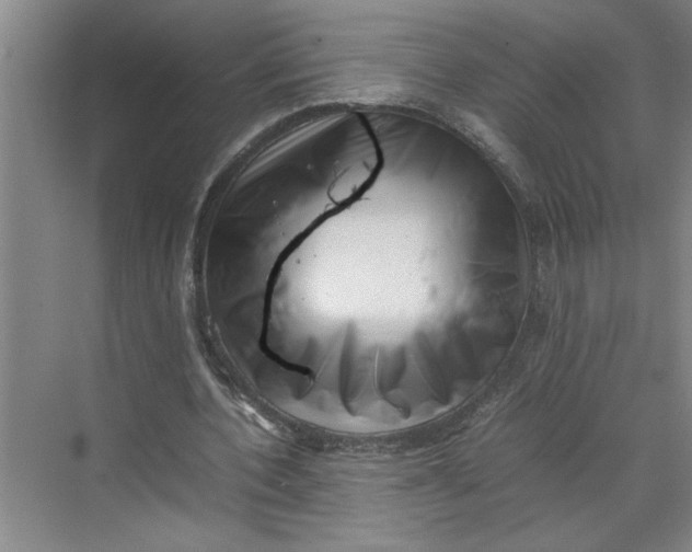 X0000070190532200606091535