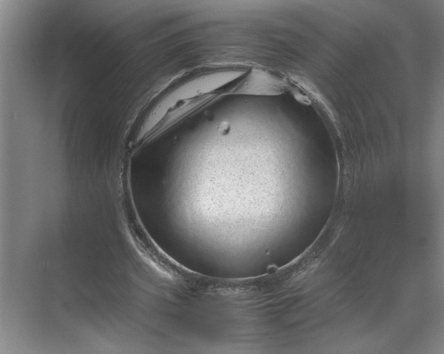 X0000070190533200606091535