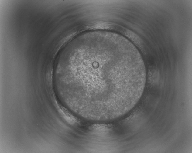 X0000070190534200606091535