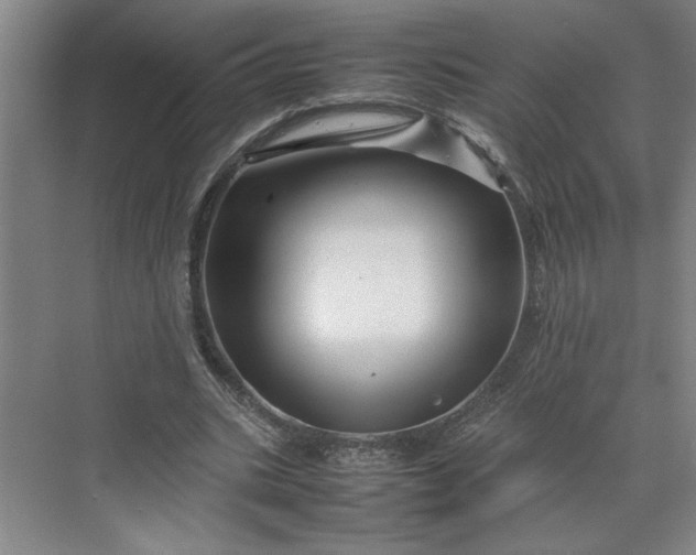 X0000070190535200606091535