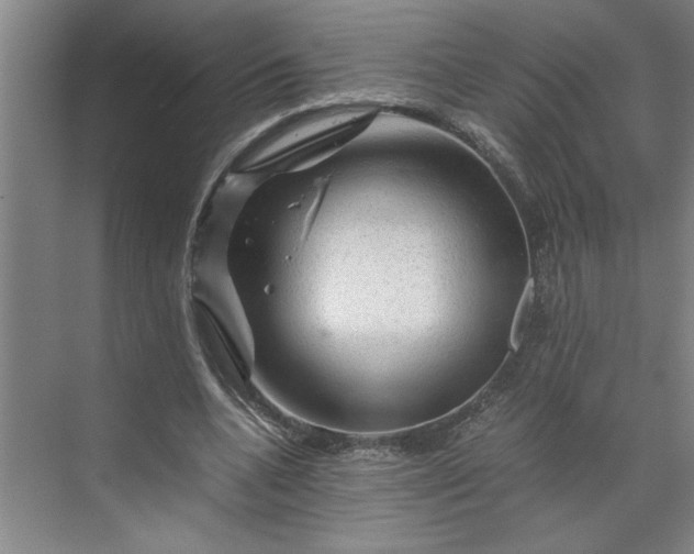 X0000070190536200606091535