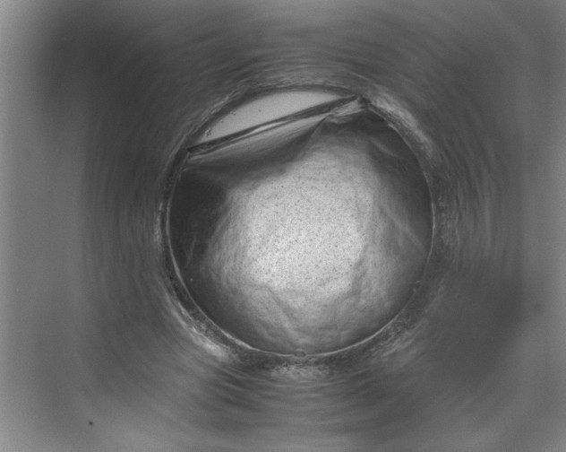 X0000070190537200606091535