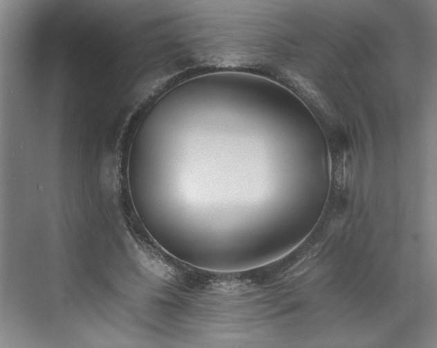 X0000070190540200606091535