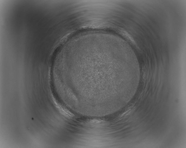 X0000070190542200606091535