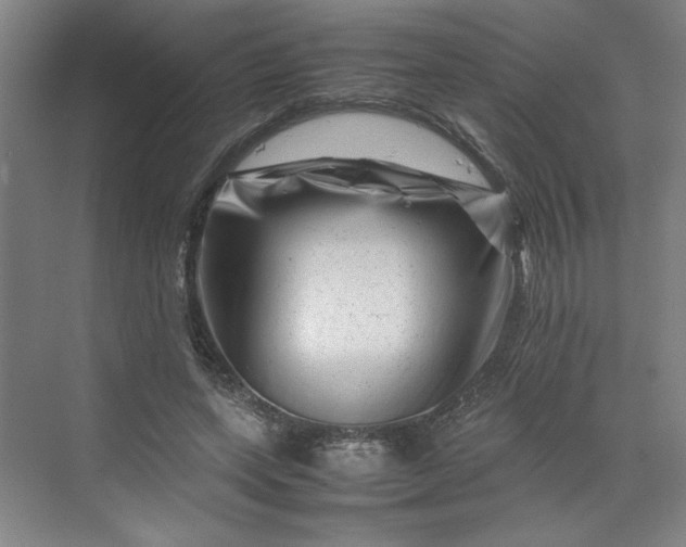 X0000070190543200606091535