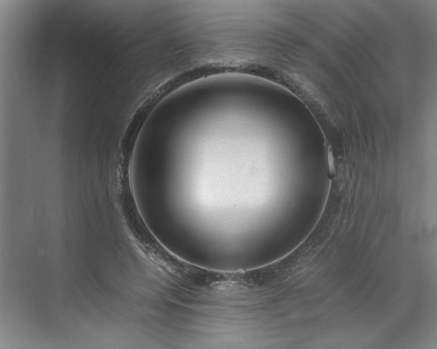 X0000070190544200606091535