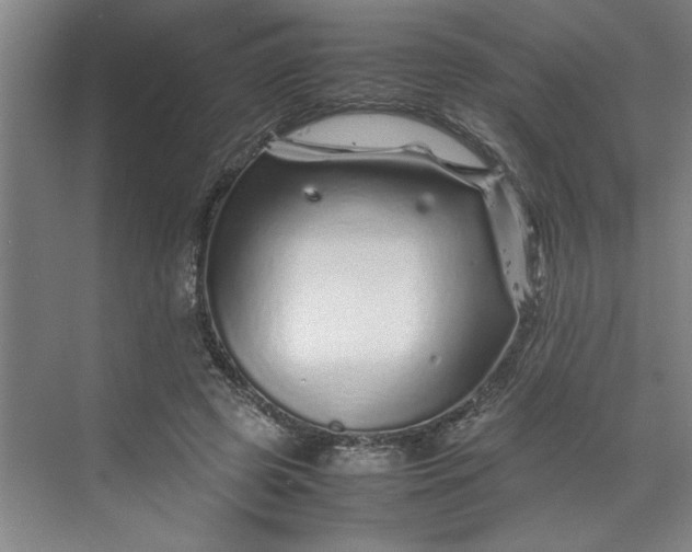 X0000070190545200606091535