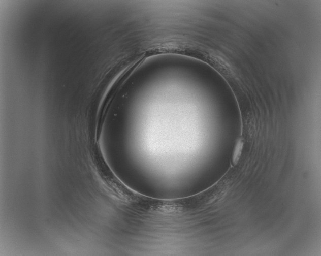 X0000070190546200606091535