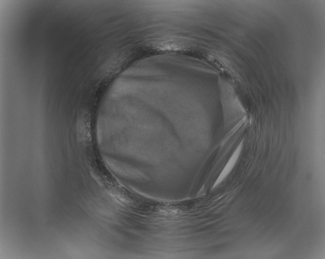 X0000070190547200606091535