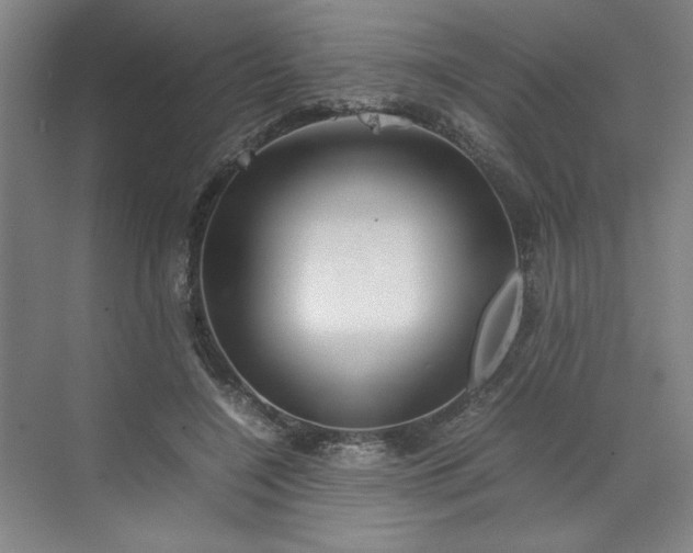 X0000070190548200606091535