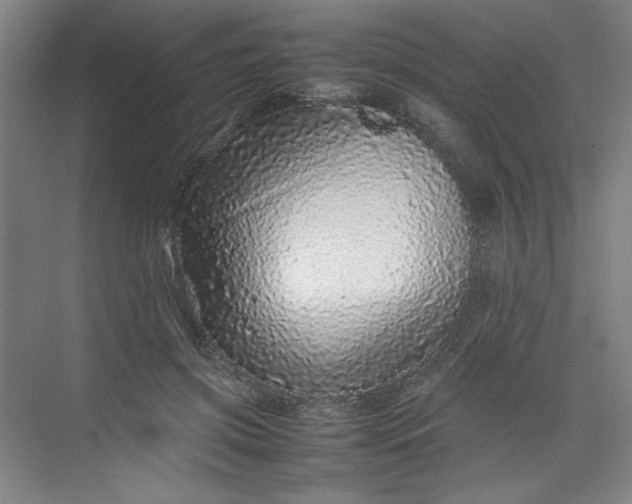 X0000070190549200606091535