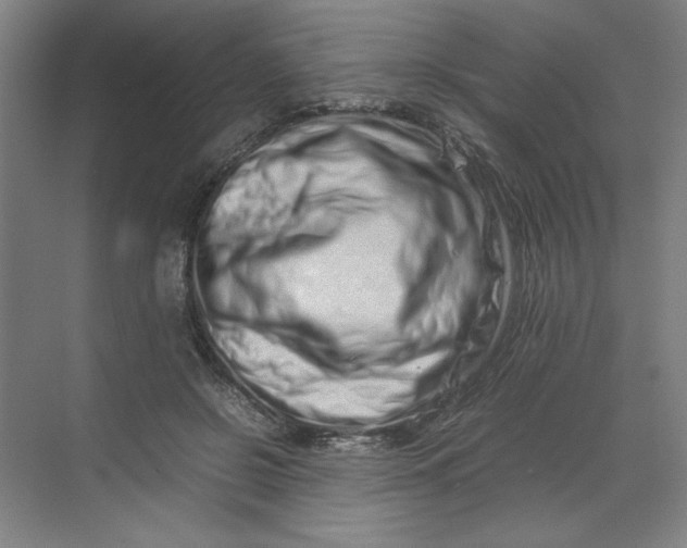 X0000070190550200606091535