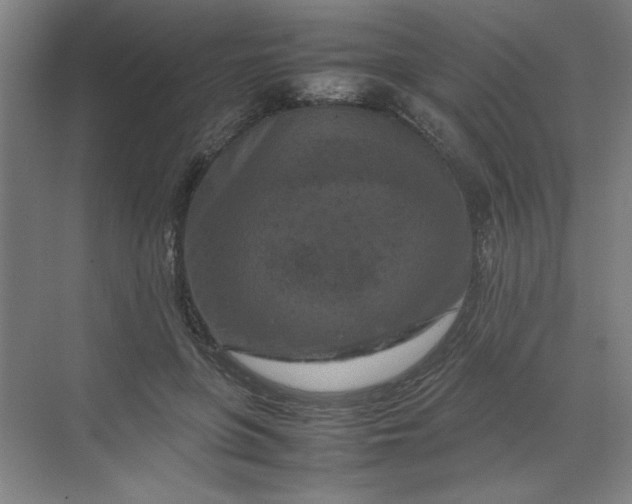 X0000070190551200606091535