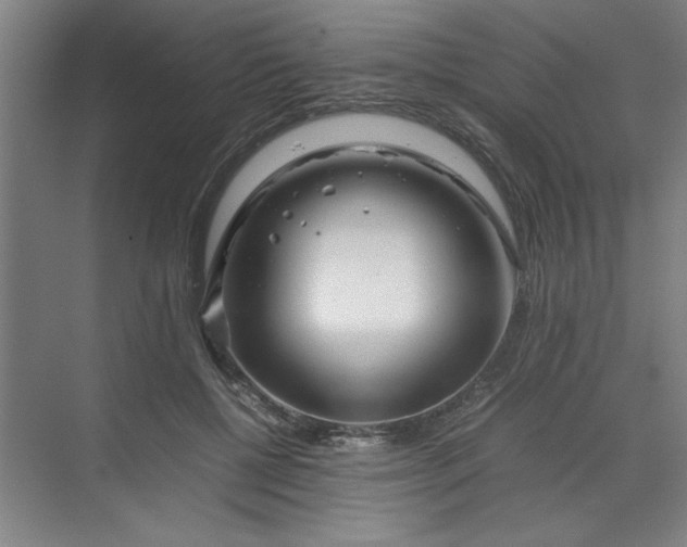 X0000070190552200606091535