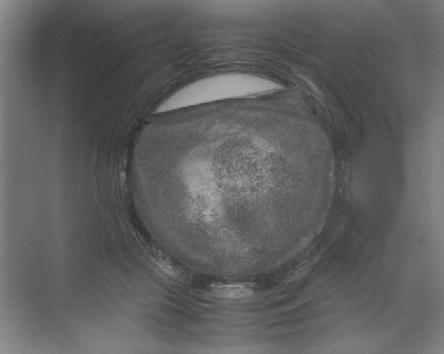 X0000070190553200606091535