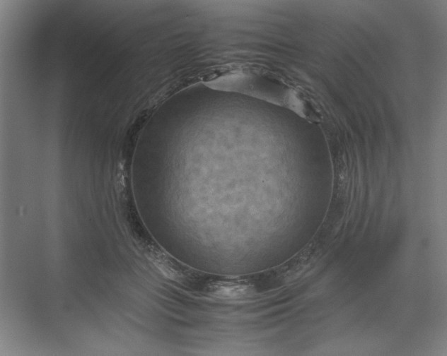 X0000070190555200606091535