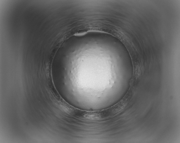 X0000070190557200606091535