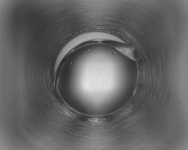 X0000070190558200606091535