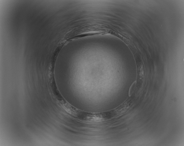 X0000070190559200606091535