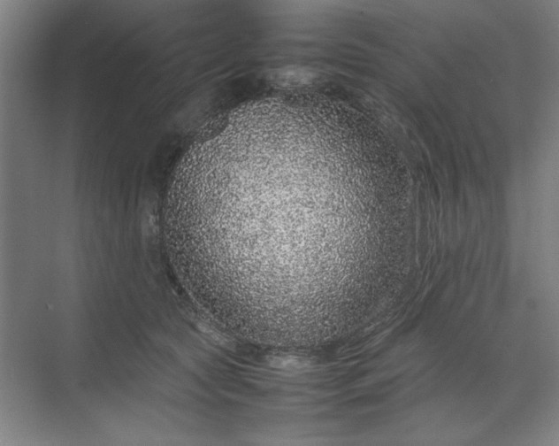 X0000070190561200606091535