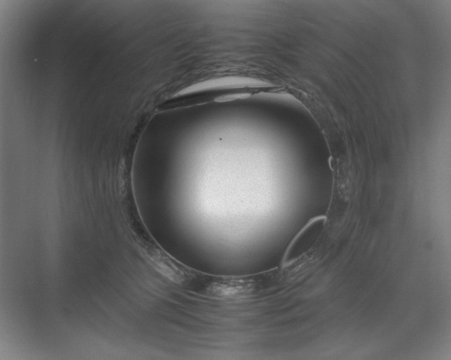 X0000070190563200606091535