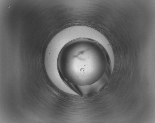 X0000070190564200606091535