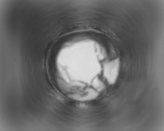 X0000070190565200606091535