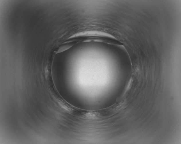 X0000070190566200606091535