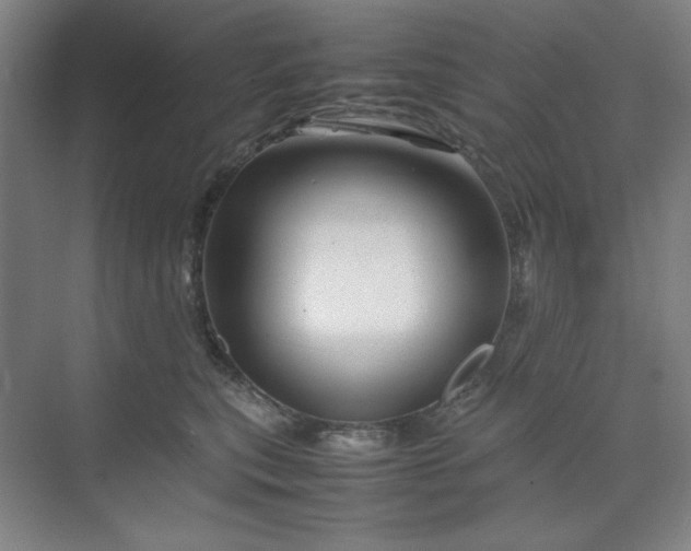 X0000070190567200606091535