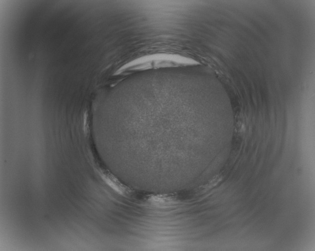 X0000070190568200606091535