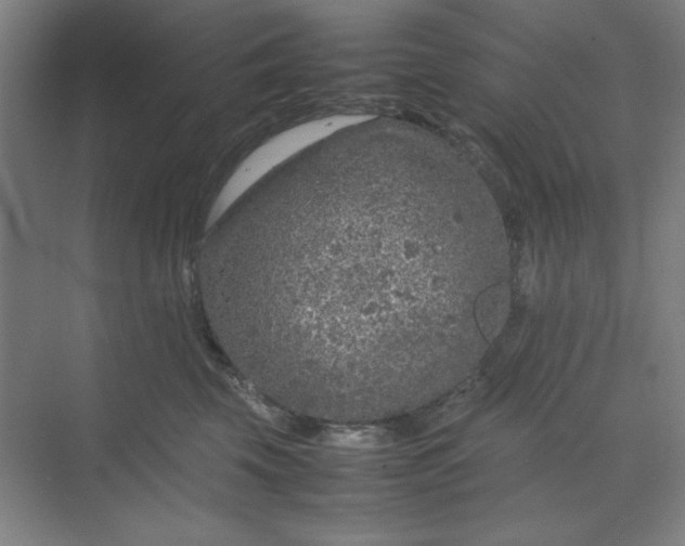 X0000070190569200606091535